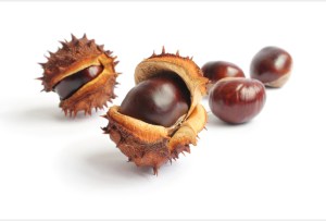 Marrons d'Inde